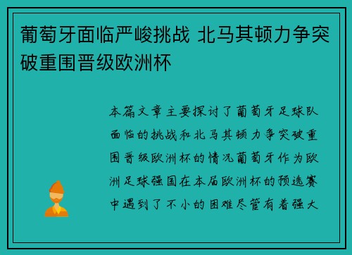 葡萄牙面临严峻挑战 北马其顿力争突破重围晋级欧洲杯